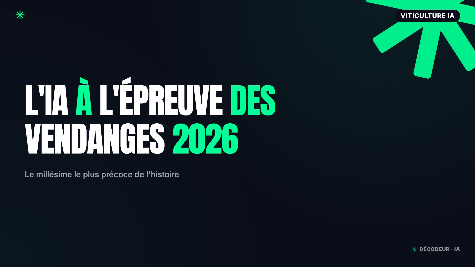 Drone survolant des rangs de vigne pendant les vendanges 2026
